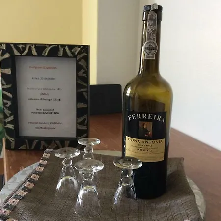 Apartment Comfort In The Downtown